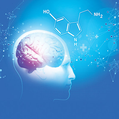 Biological Psychology – Neurotransmitters and Behavior – Serotonin